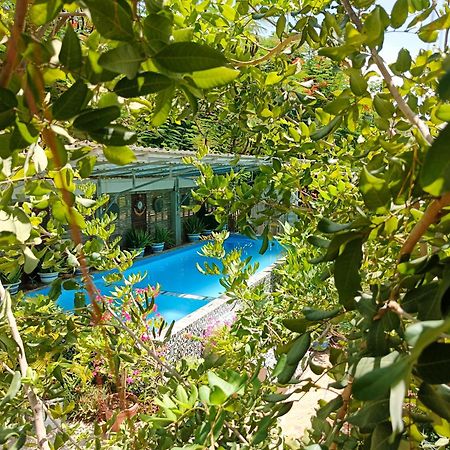 Silk Island Homestay Пном Пен Екстериор снимка