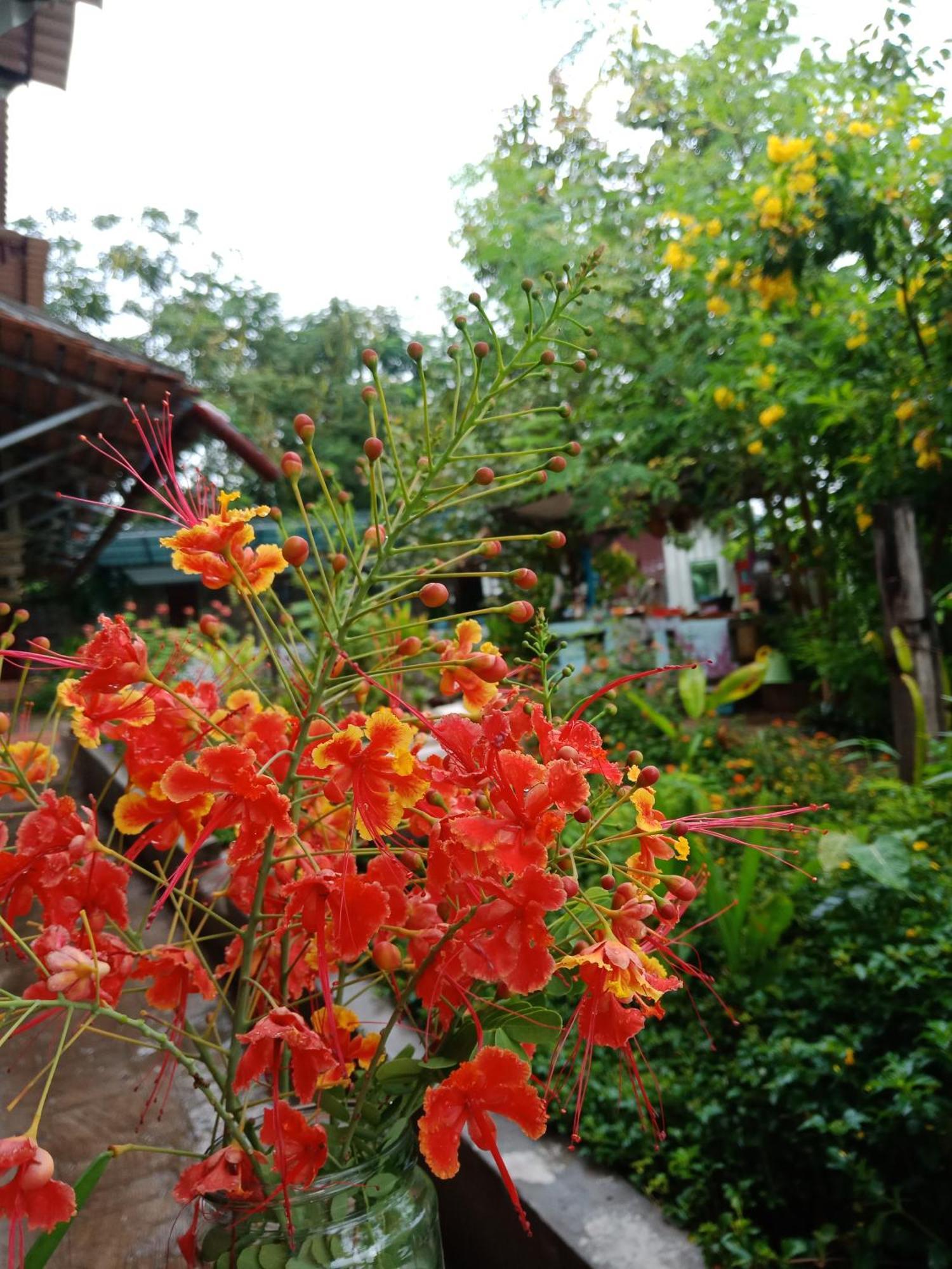 Silk Island Homestay Пном Пен Екстериор снимка